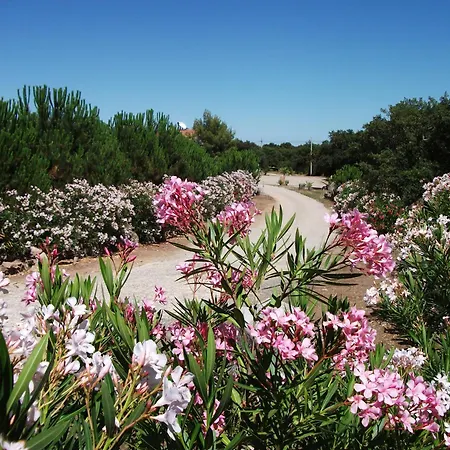 Rocce Bianche בית כפרי