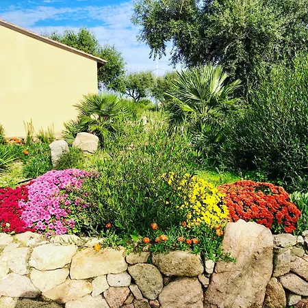 Rocce Bianche * Arbus